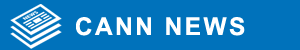 ccn news